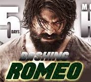 Dashing Romeo