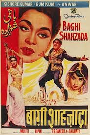 Baghi Shahzada