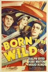 Born to be Wild
