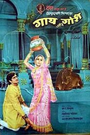 Gaai Aur Gori