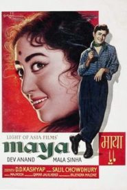 Maya
