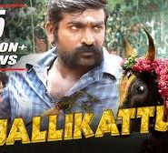 Jallikattu