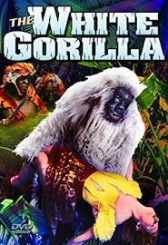 The White Gorilla