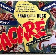Jacare