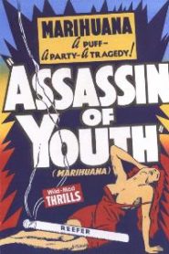 Assassin Of Youth