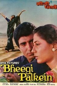 Bheegi Palkein