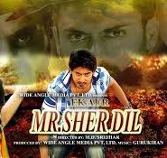 Ek Aur Mr Sherdil