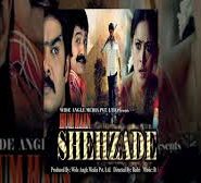 Hum Hain Shehzade