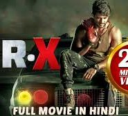 MR X