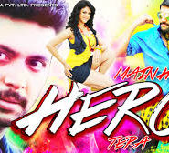 Main Hoon Hero Tera