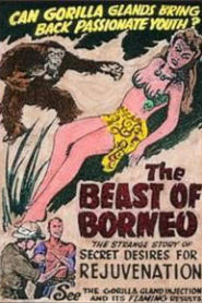 The Beast of Borneo