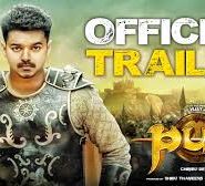 Puli