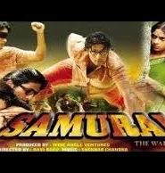 Samurai The Warrior